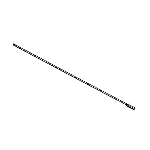 Axel