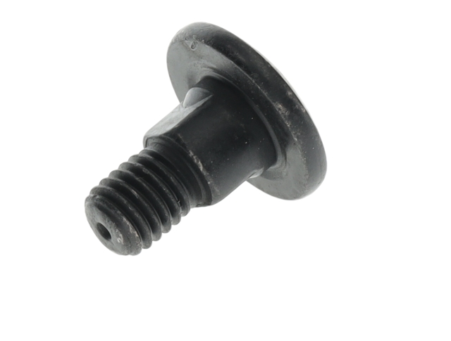Screw