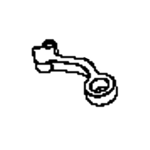 Arm