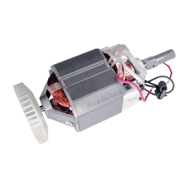 Electric Motor