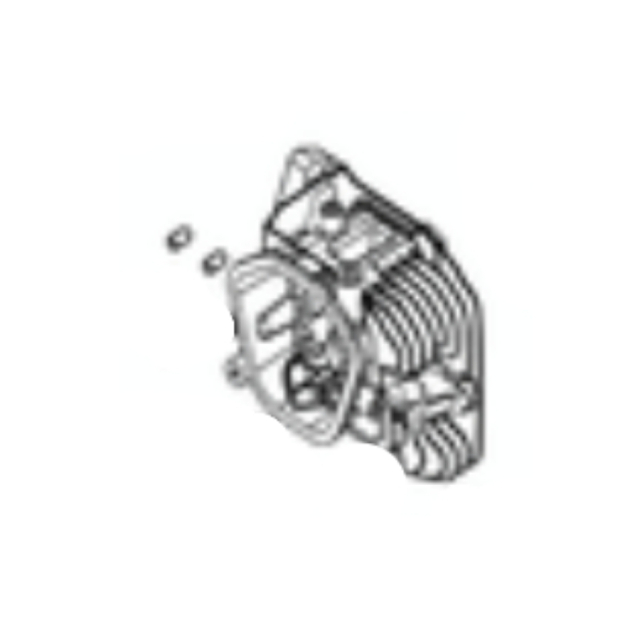 Cylinder cylinder head (sk4201000.1)