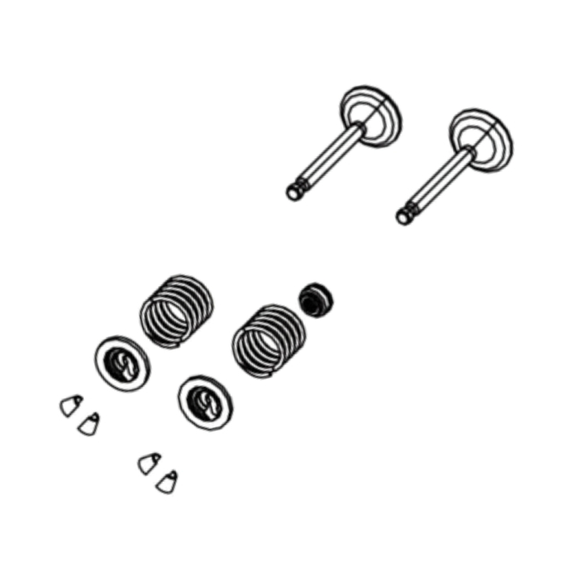 Valve kit
