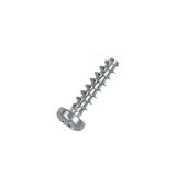 Screw Screw