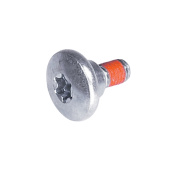 Screw Screw