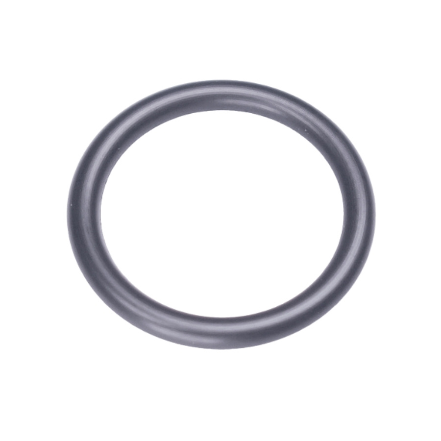 O-Ring 16,6X2,4