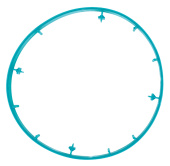 Color ring Color ring