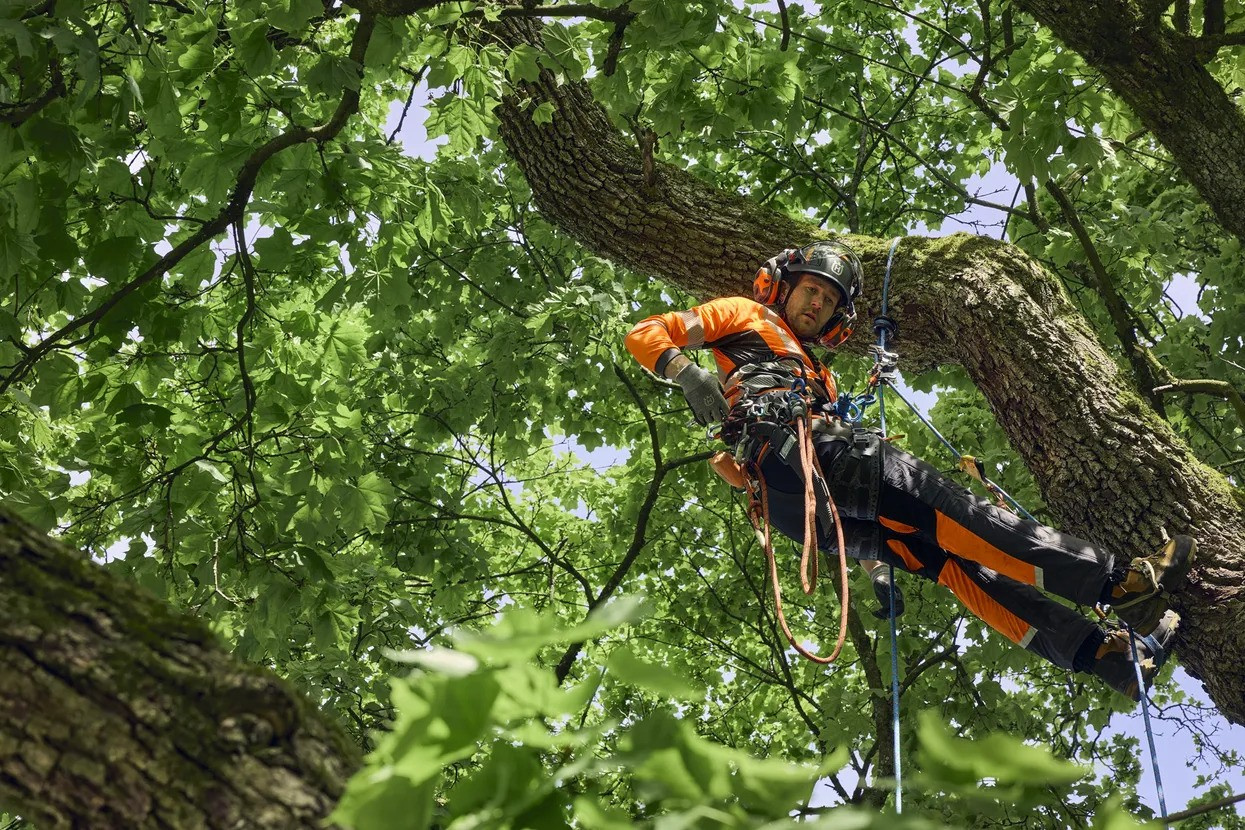 Husqvarna midjebyxa Technical Extreme Arborist, XL
