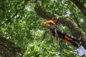 Husqvarna midjebyxa Technical Extreme Arborist, S Husqvarna midjebyxa Technical Extreme Arborist, S