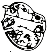 Switchbox Lower (Euro Switchbox Lower (Euro