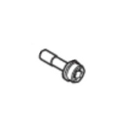Bolt internal torx socket head Bolt internal torx socket head