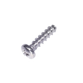 Screw Screw