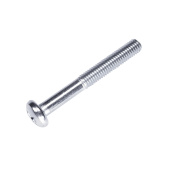 Screw Screw