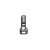 Screw Screw