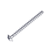Screw Screw