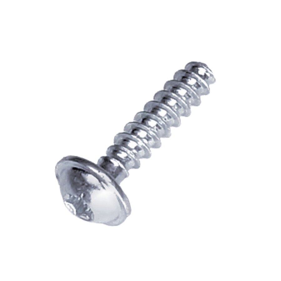 Screw