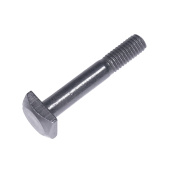 Screw Screw