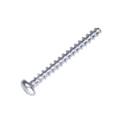 Screw Screw