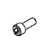 Screw Screw