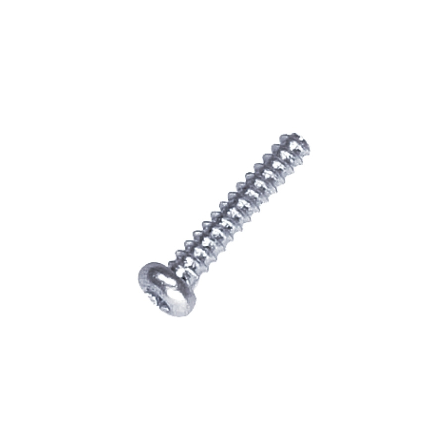 Screw T20 St 3X16