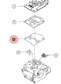 Diaphragm Diaphragm