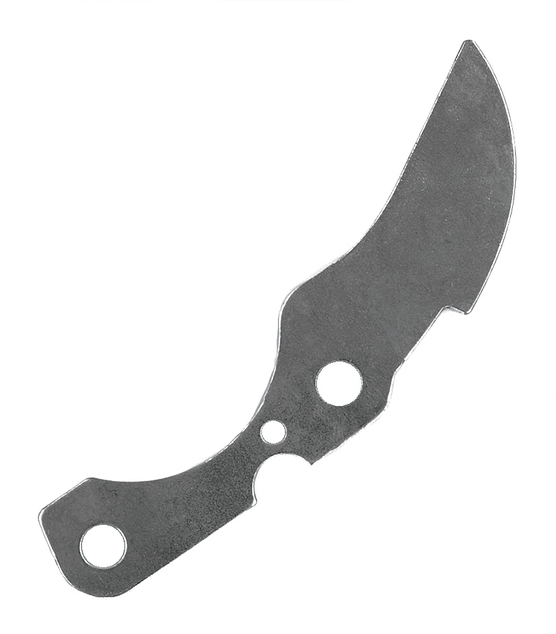 Blade