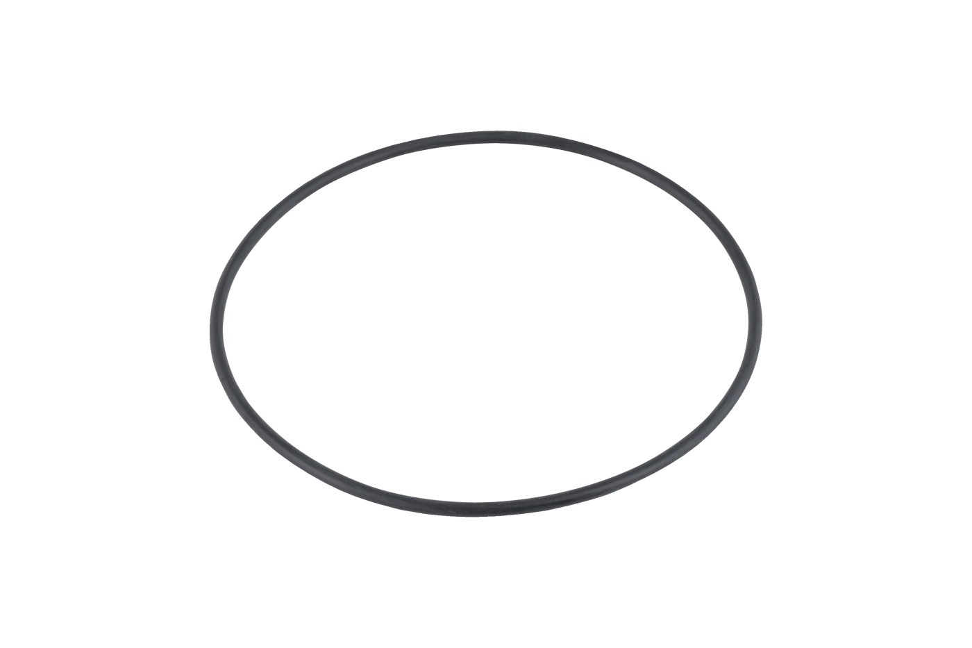 O-ring d110
