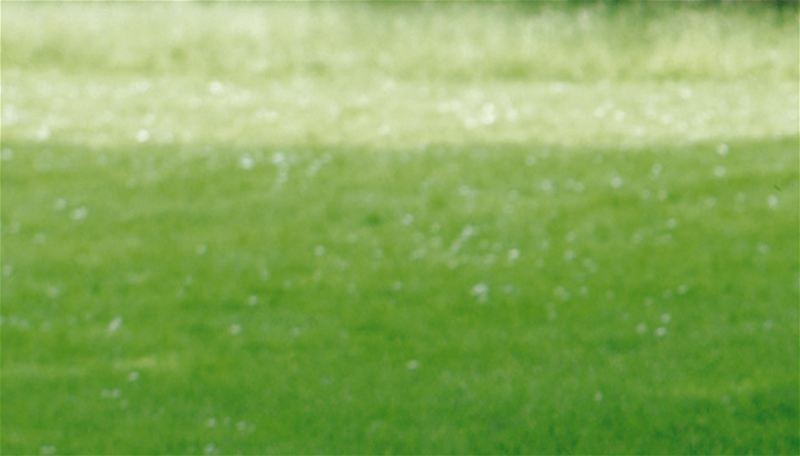 Klippo Comet SH Gräsklippare