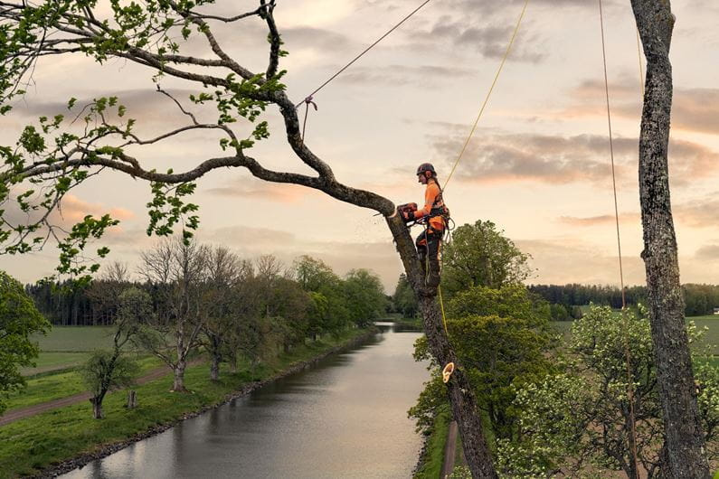 Husqvarna T540 XP® Mark III motorsåg