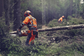 Husqvarna 564 XP® G Fuel Inject Husqvarna 564 XP® G Fuel Inject